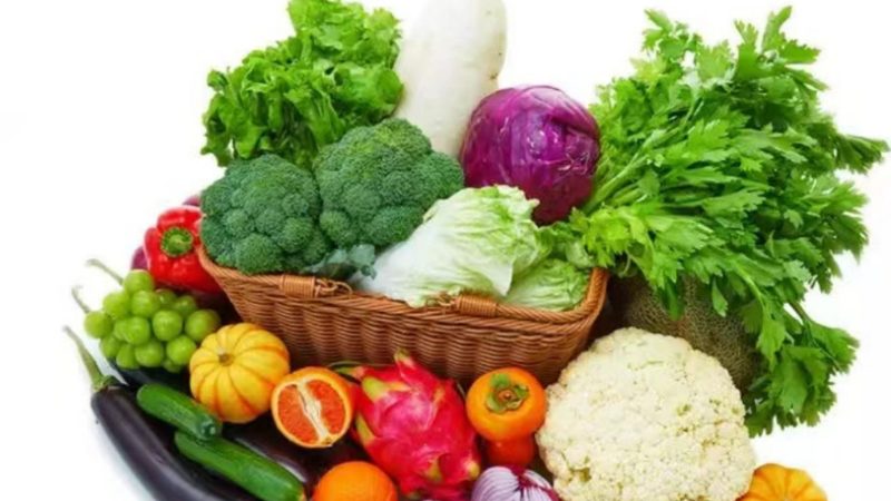 狗狗饼干与磨牙棒：揭秘宠物零食的差异化功能