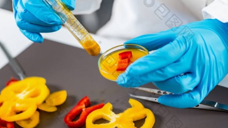 糖果代理加盟需要什么资质